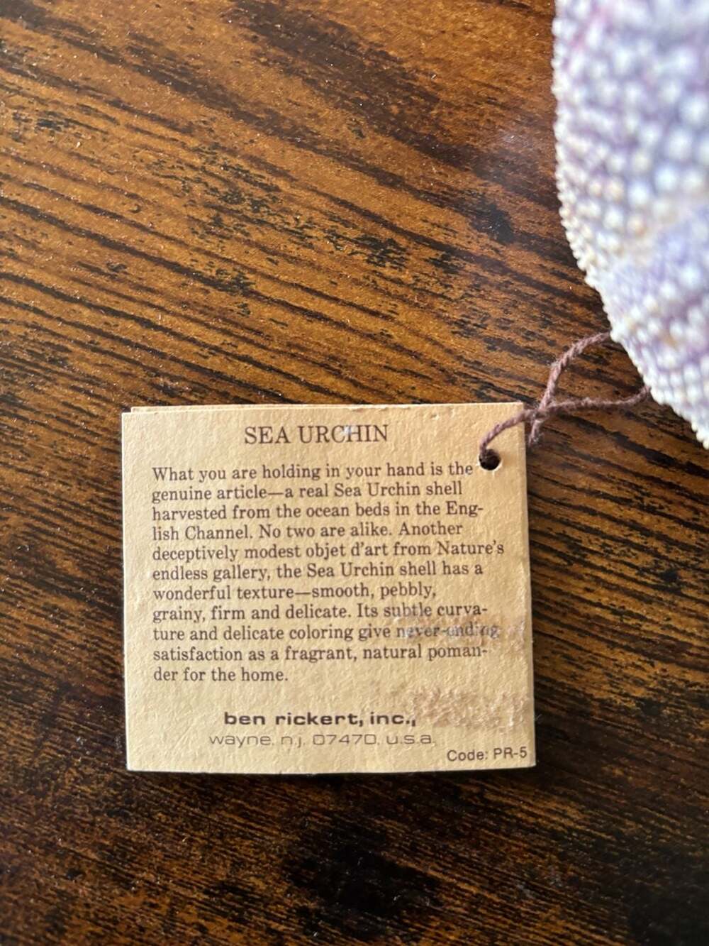 Vintage Ben Rickert Natural Sea Urchin Pomander Fragrance Decor - Picture 2 of 4
